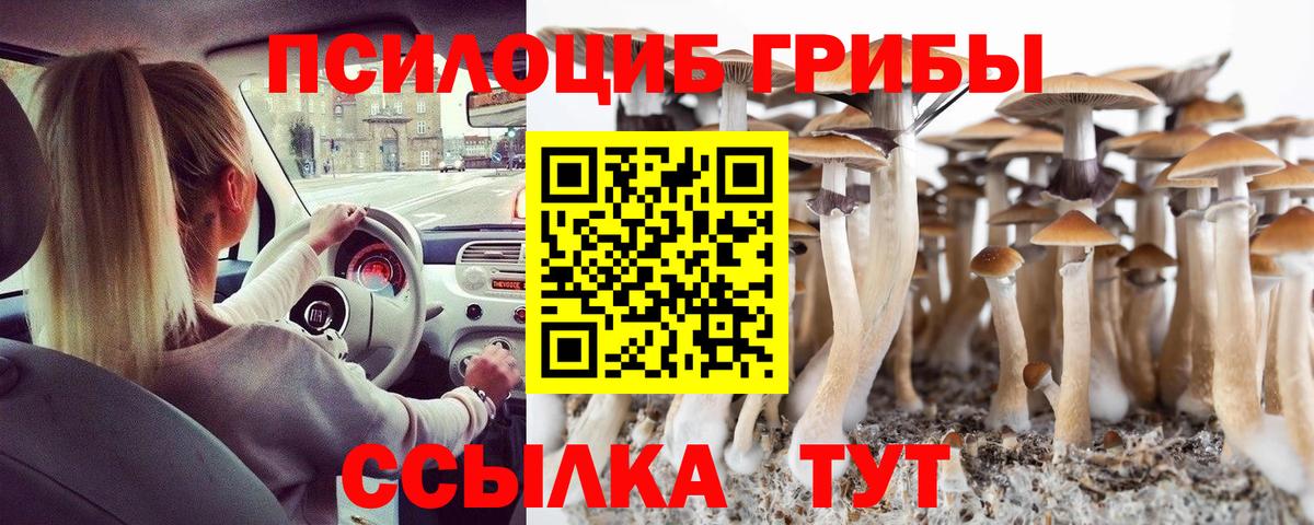 Бошки Шишки Лянтор