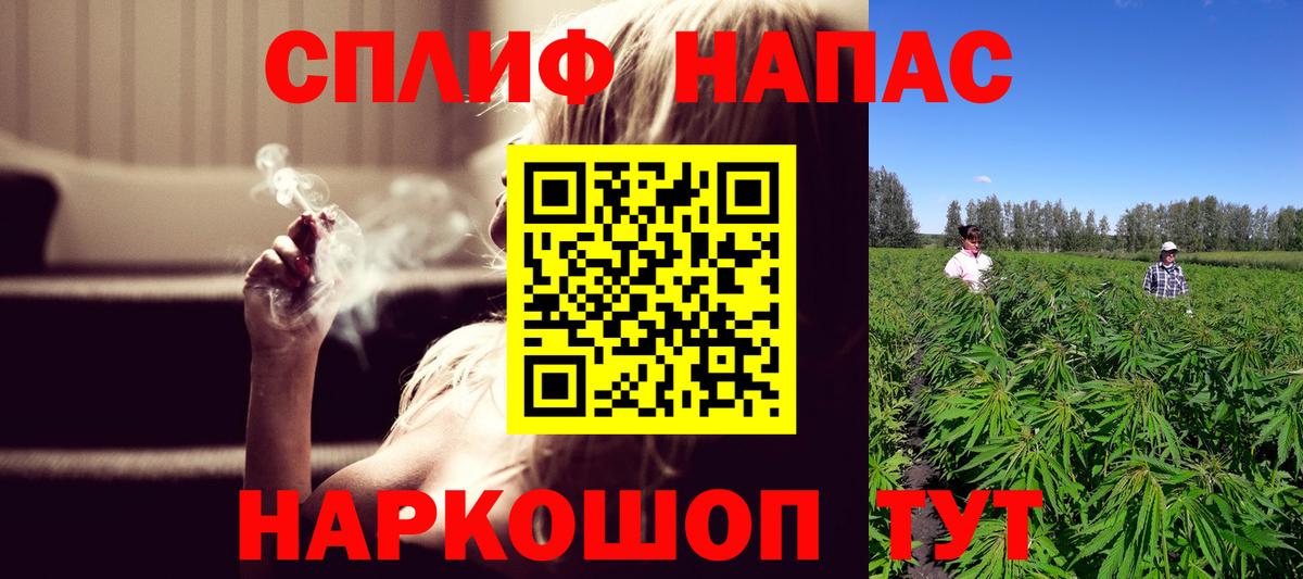 Конопля гибрид  Вход с VPN  Конопля Bruce Banner  Лянтор  Канабис конопля 